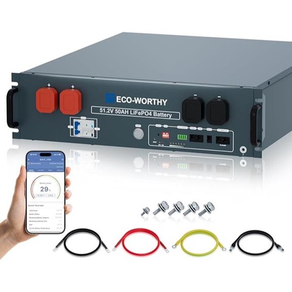 ECO-WORTHY 48V 50Ah LiFePO4 Rack Battery