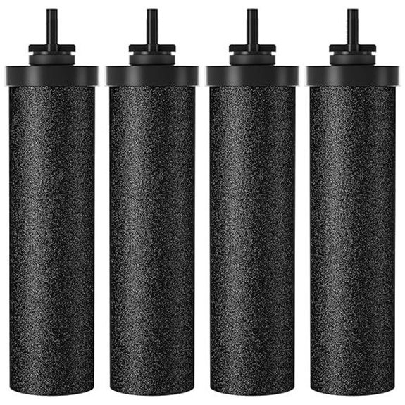 Skysen Water Filter Replacement for Berkey BB9-2