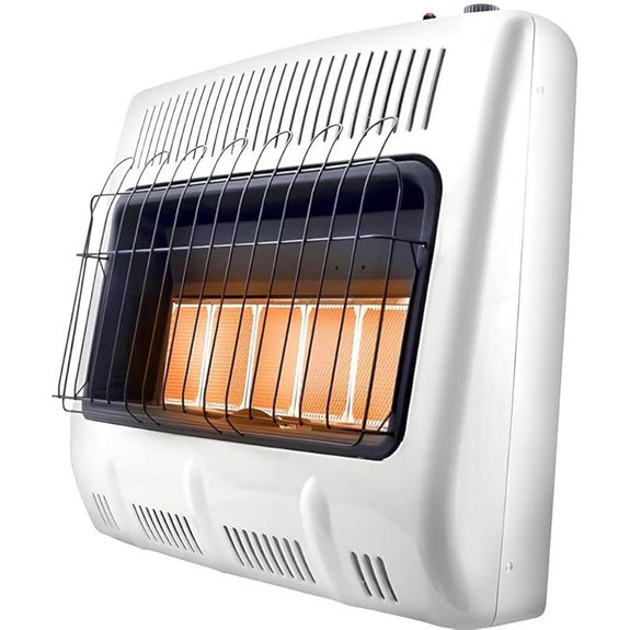 Mr. Heater 30,000 BTU Vent-Free Dual Fuel Heater