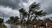 high wind power outages