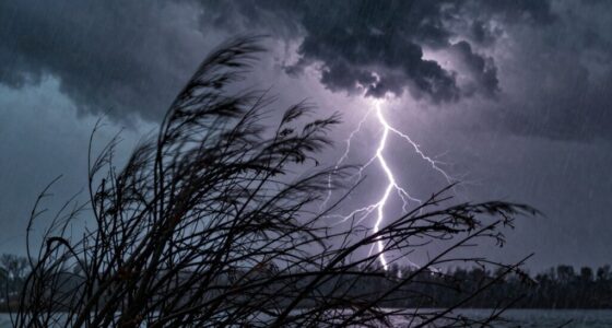 intense coastal wind forecast