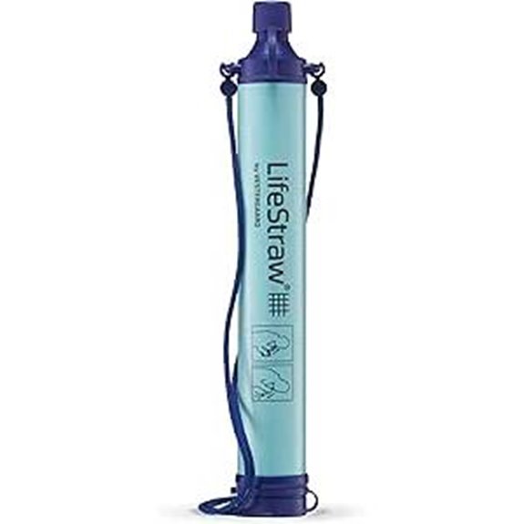 LifeStraw Personal Water Filter for Travel and Camping