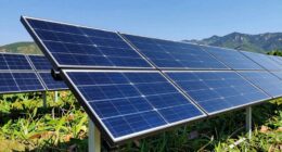 top 300w solar panel list