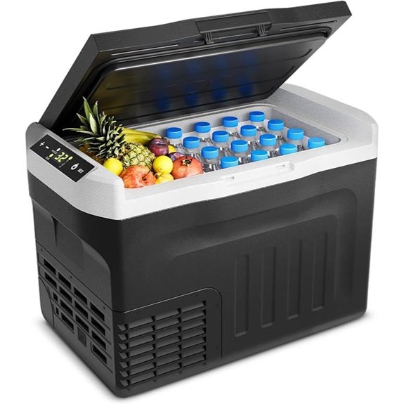 Portable 12V/110V Cooler Refrigerator for Travel