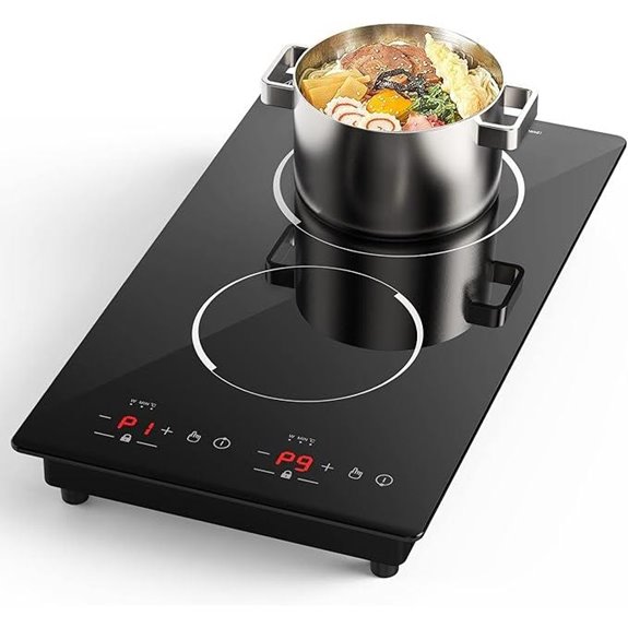 two burner induction cooktop
