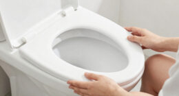7 Best Emergency Toilet For Long Outages In 2026