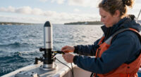 U.S. pulling ocean sensors a 'shock' for Canadian research as El Niño nears
