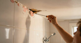 This Bath Had Peeling Molding, a Drop Ceiling, and Pink Grout — Now It's Classic