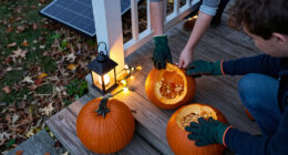 15 Best Halloween Picks for Parties, Decorating, and Family Fun in 2027