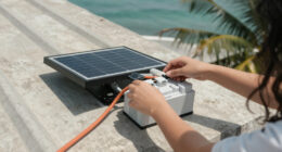 Energy Security, Not Just Climate Goals, Drive Caribbean And Latin American Storage Growth