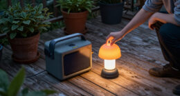 The Quirky IKEA Outdoor Lamp That's A Rare Thrift Find